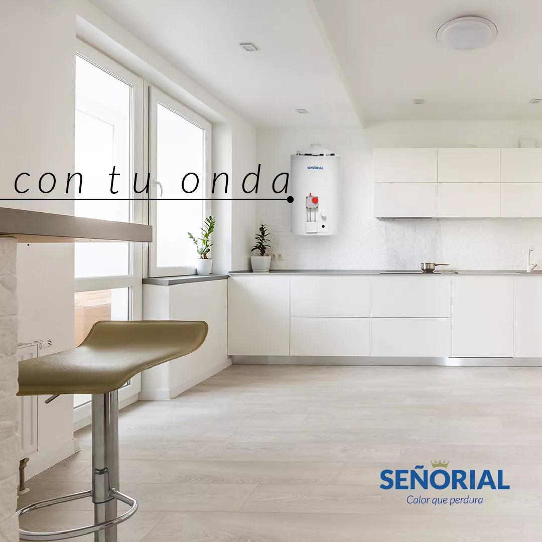 Termotanque Multigas Señorial Zafiro TSZ-30 blanco 30 L - Imagen 4